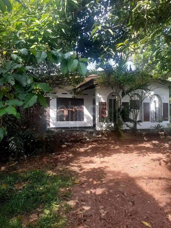 Residential Land for Sale in Pannipitiya ads-image-1