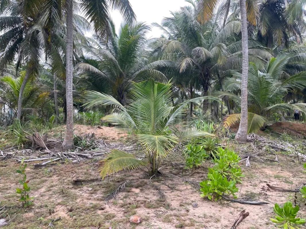 Residential Land for Sale in Chilaw