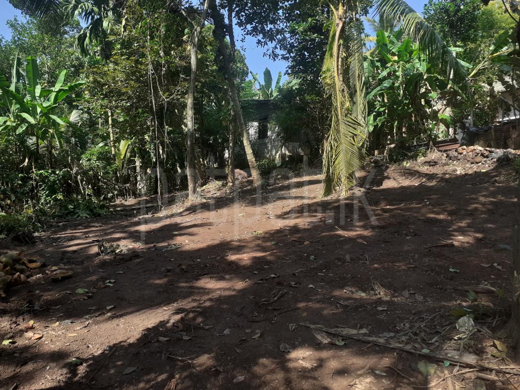 Commercial Land for Sale in Paiyagala ads-image-1