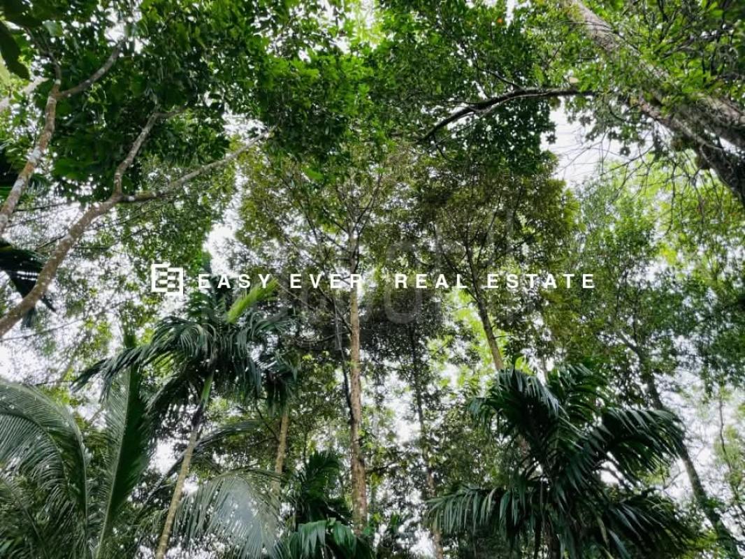 House for Sale in Nittambuwa