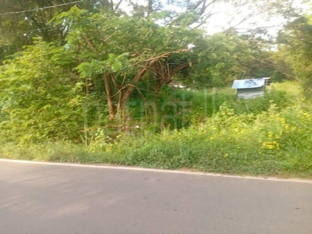 Residential Land for Sale in Tambuttegama ads-image-1