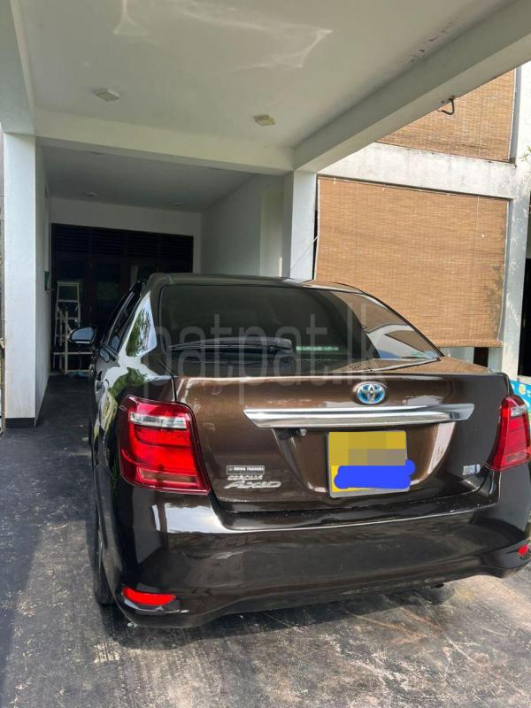 Advertisement image 6