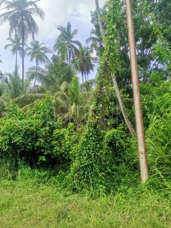 Commercial Land for Sale in Kurunegala