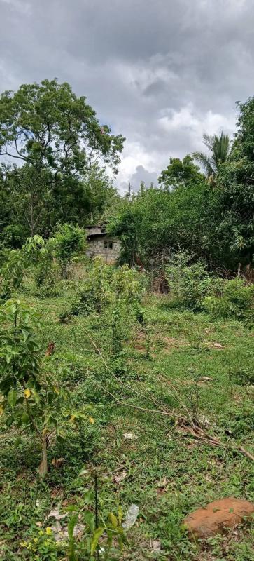 Residential Land for Sale in Kataragama