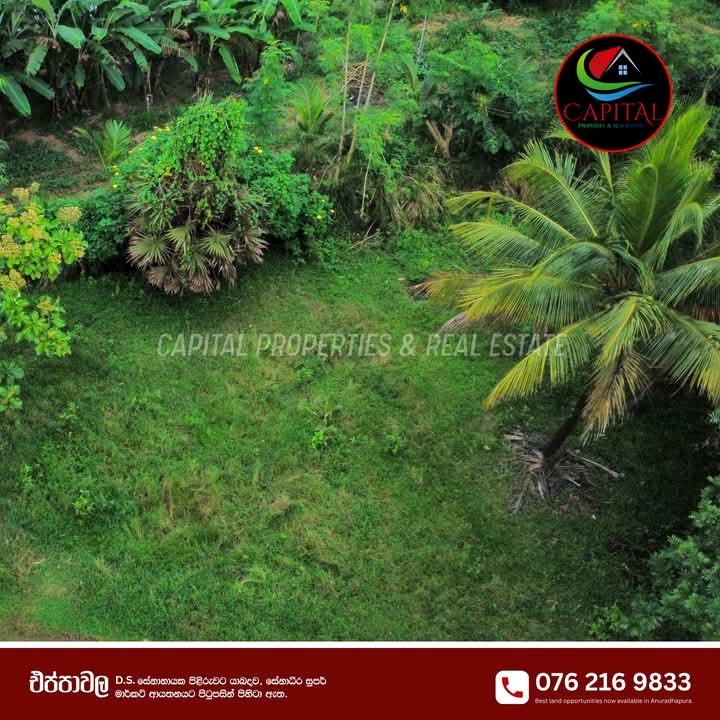 Commercial Land for Sale in Eppawala