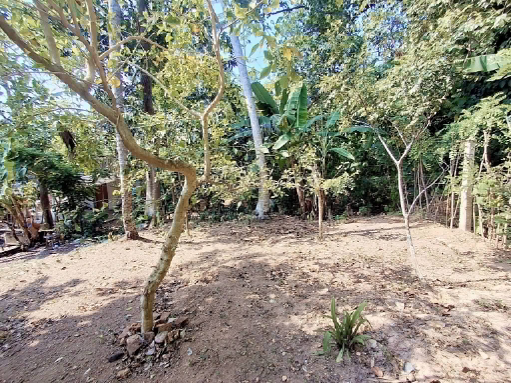 Agricultural Land for Sale in Panadura