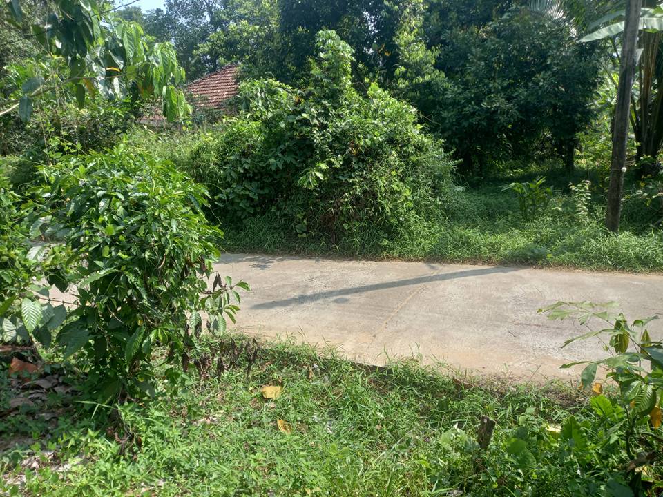 Residential Land for Sale in Horana