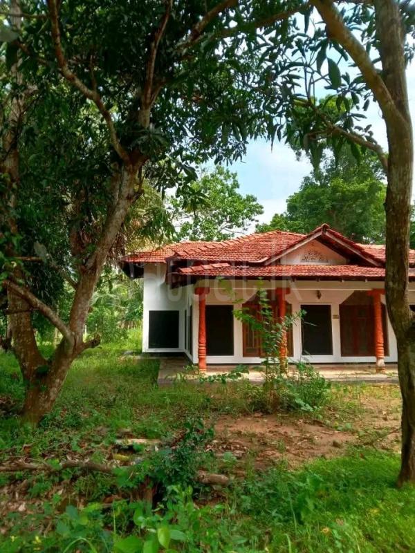House for Sale in Ambanpola