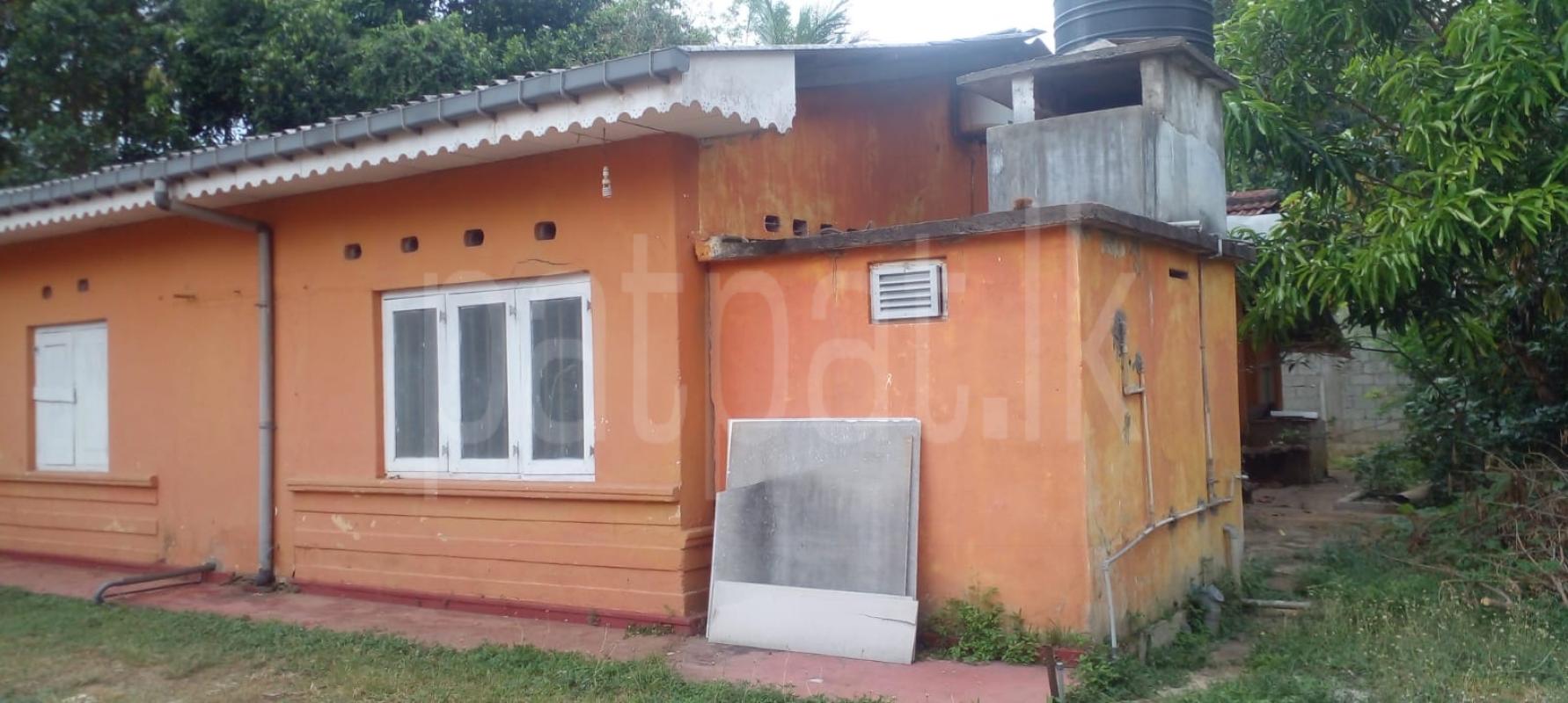 House for Rent in Embilipitiya