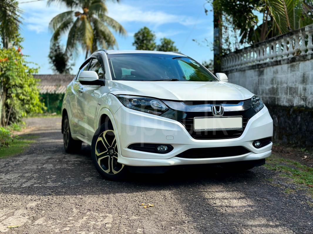 Advertisement image 3