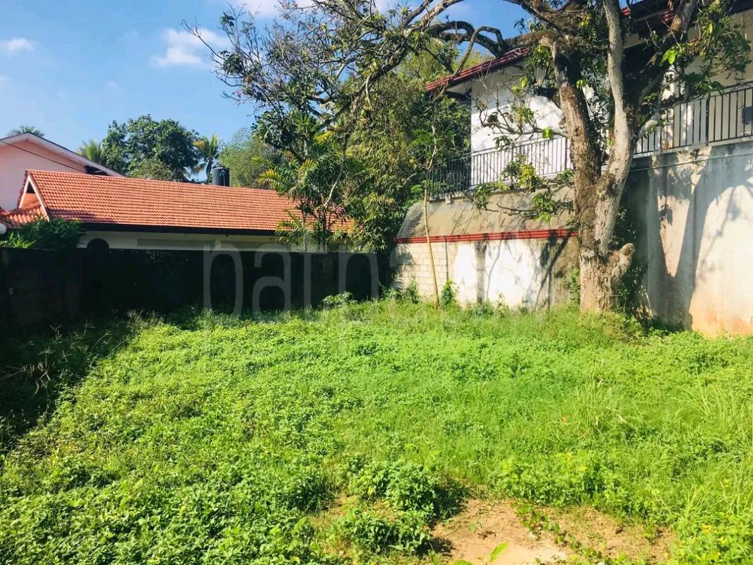 Residential Land for Sale in Kottawa