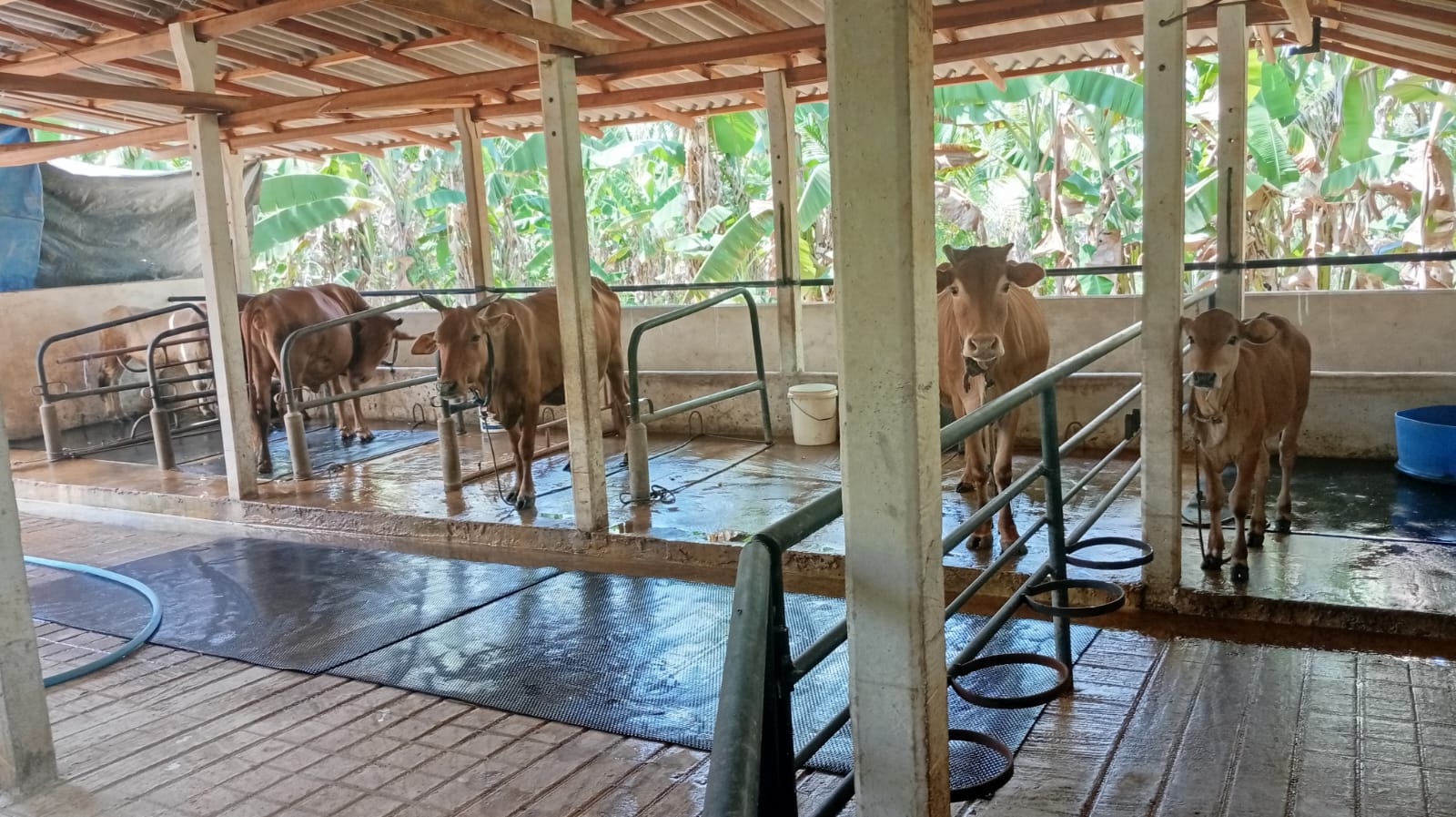 House for Sale in Embilipitiya