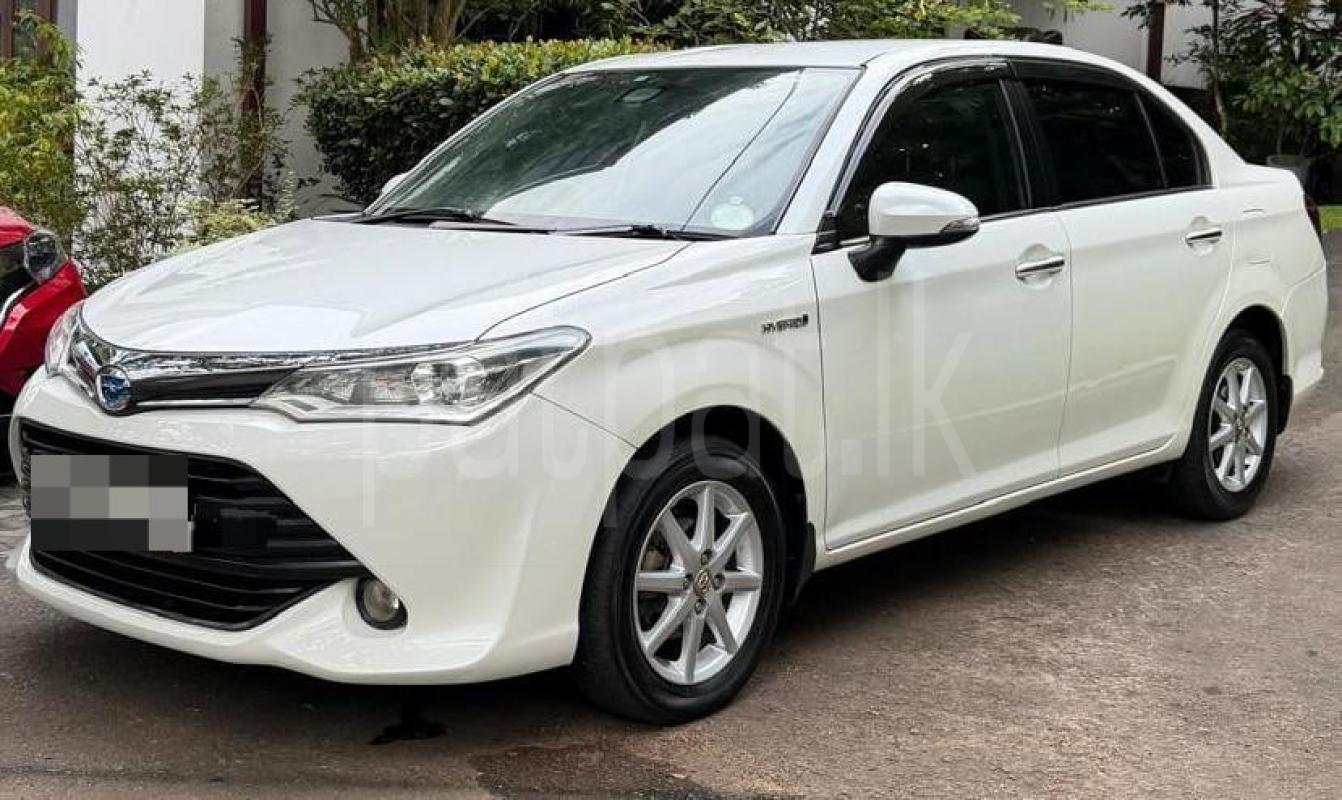 Advertisement image 3