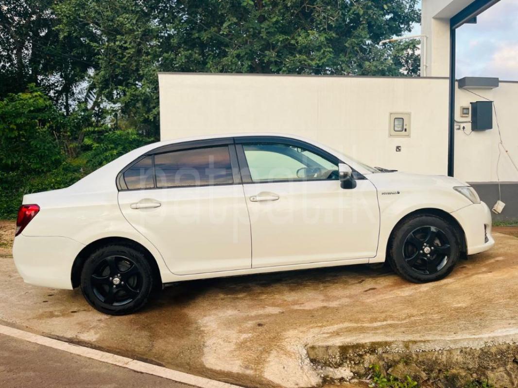 Advertisement image 3