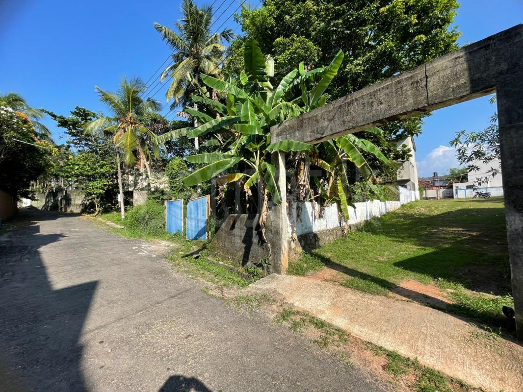 Residential Land for Sale in Talawatugoda