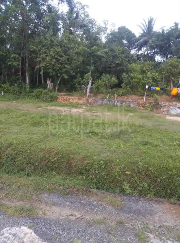 Residential Land for Sale in Dodangoda ads-image-1