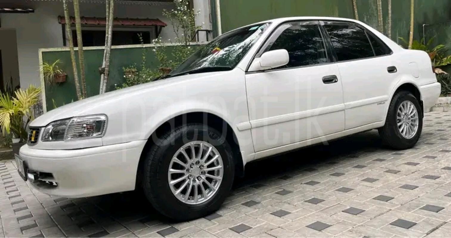 Advertisement image 5