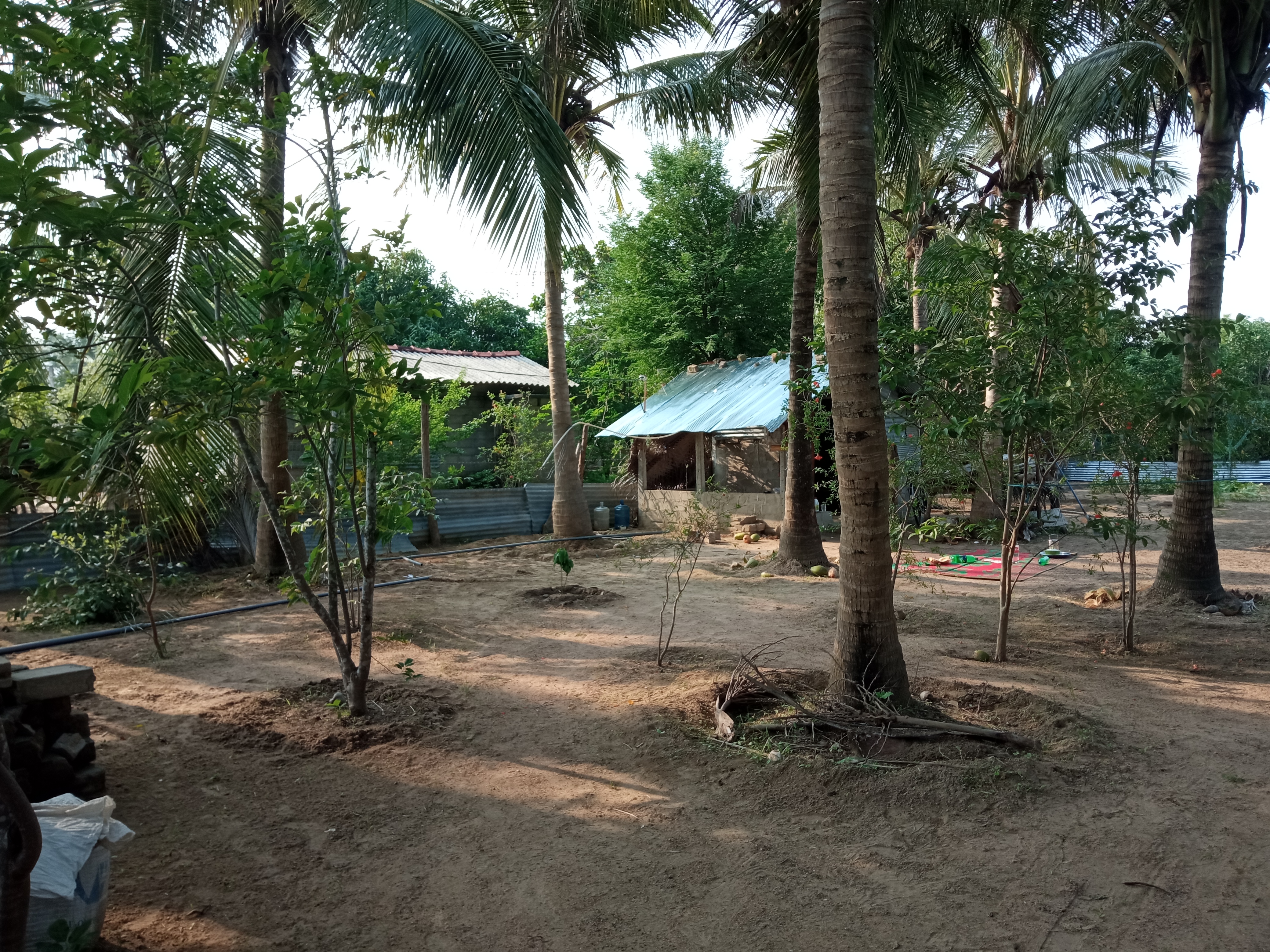 Residential Land for Sale in Oddamavadi