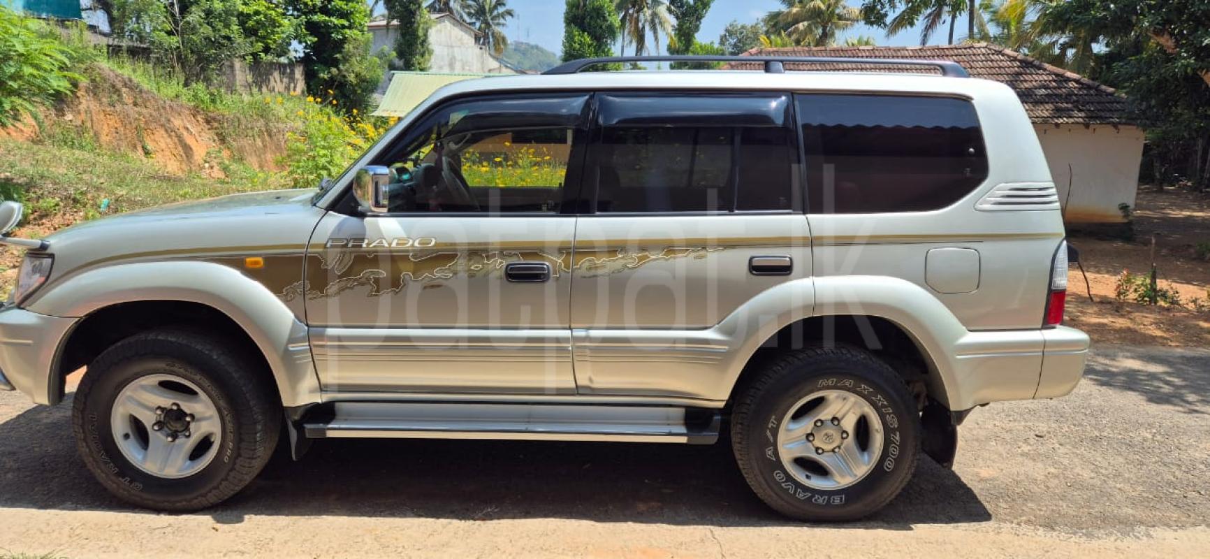 Advertisement image 1