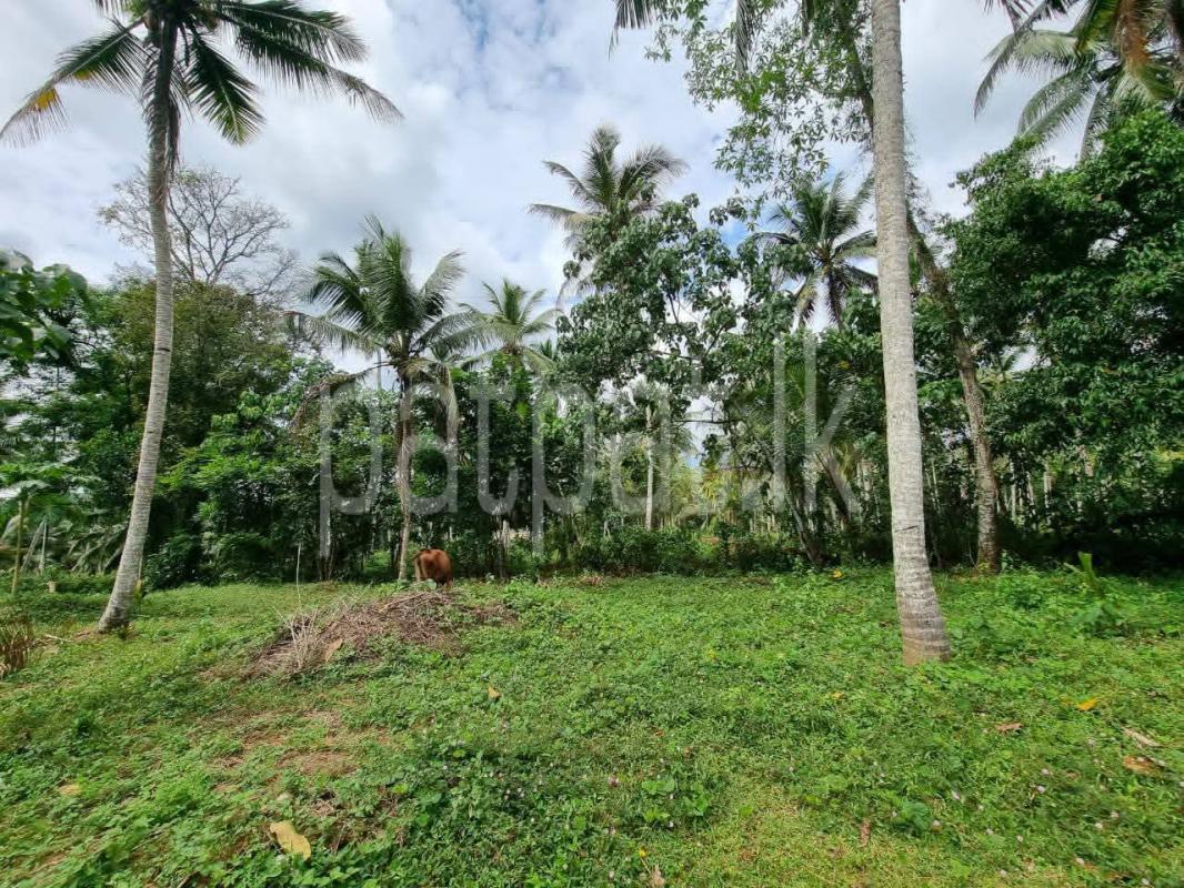 Residential Land for Sale in Padukka