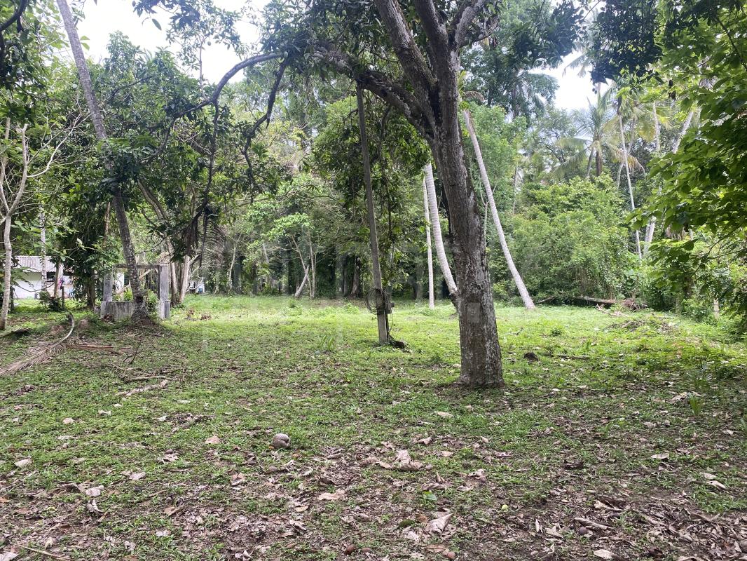  Land for Sale in Minuwangoda
