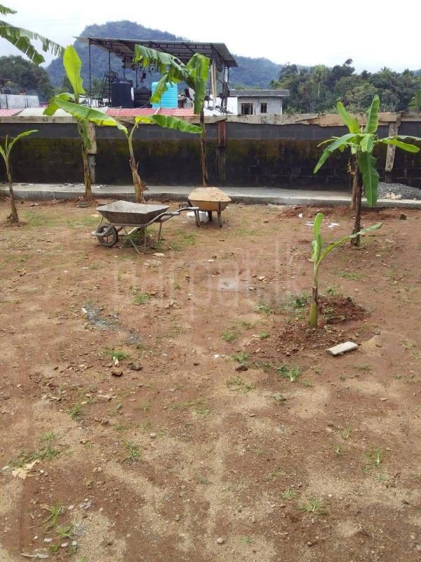 Commercial Land for Rent in Gampola