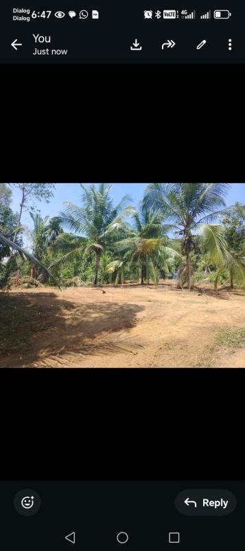 Residential Land for Sale in Dompe