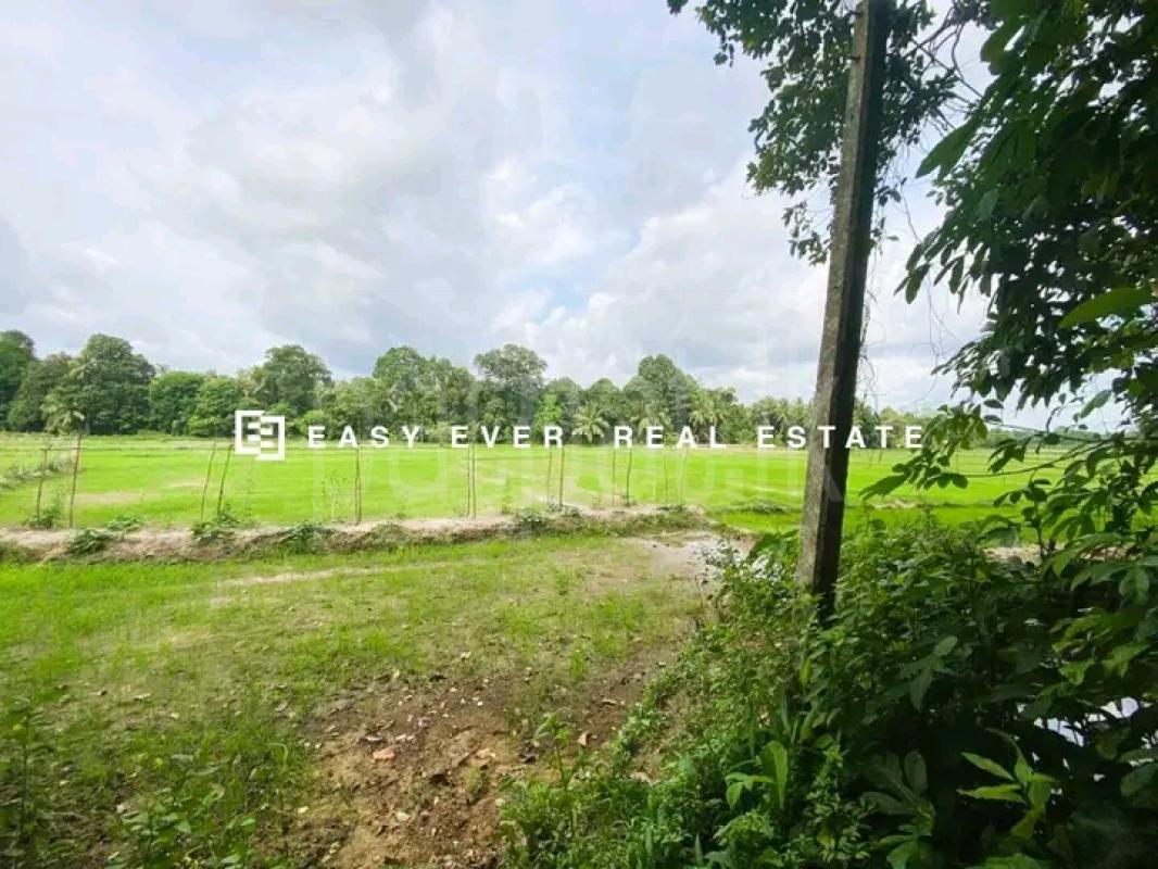 Commercial Land for Sale in Minuwangoda ads-image-1