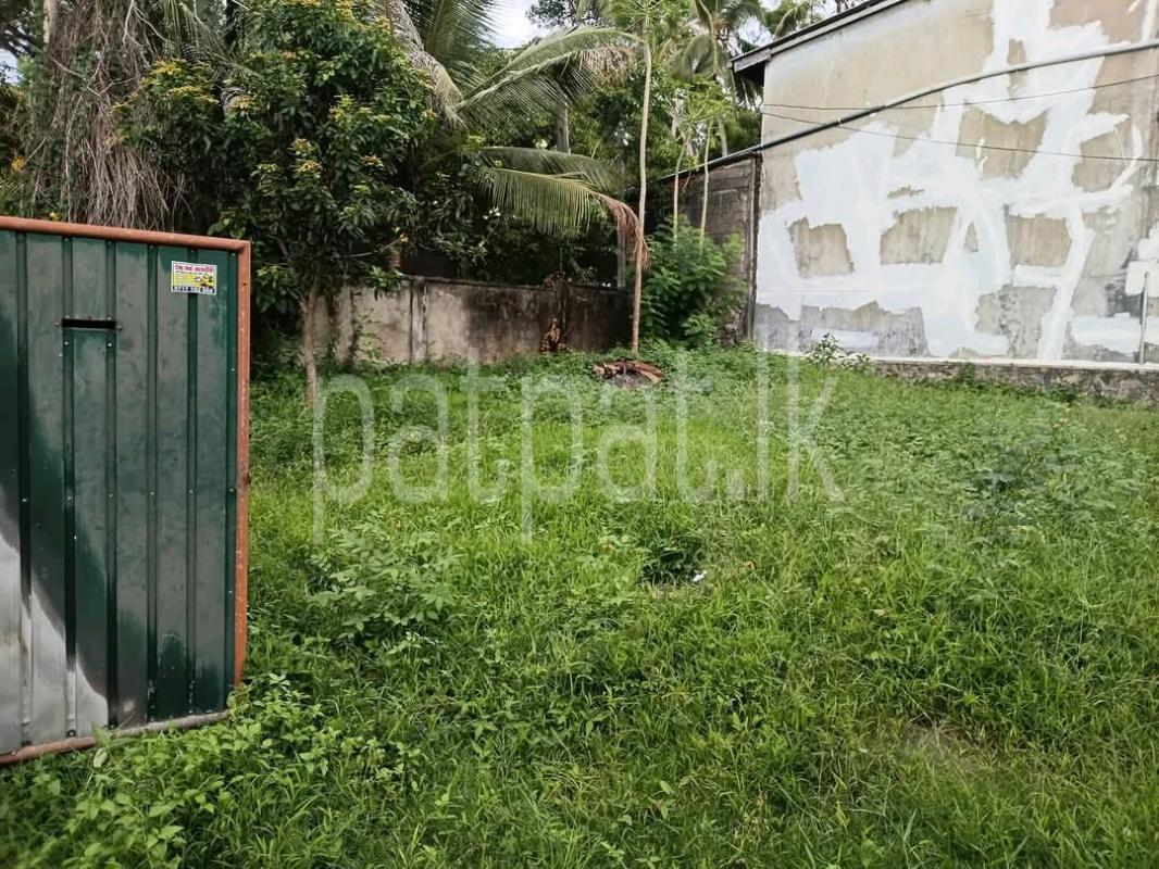 Commercial Land for Sale in Dehiwala