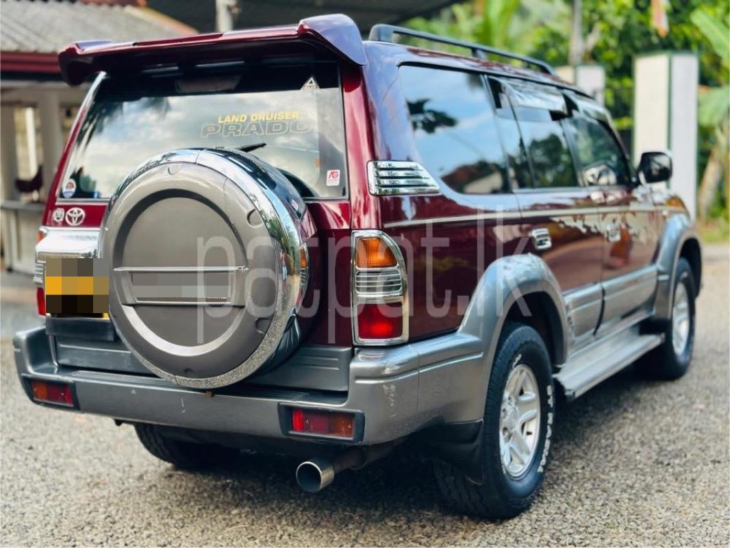 Advertisement image 3