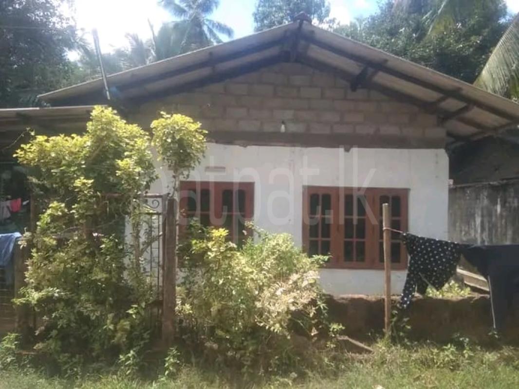 premium-listing-image