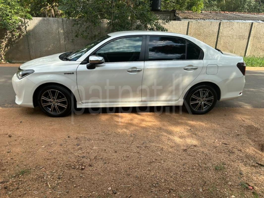 Advertisement image 5