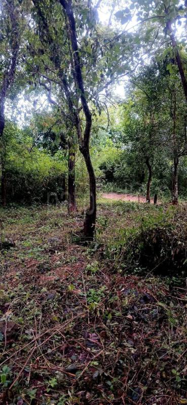 Residential Land for Sale in Kataragama