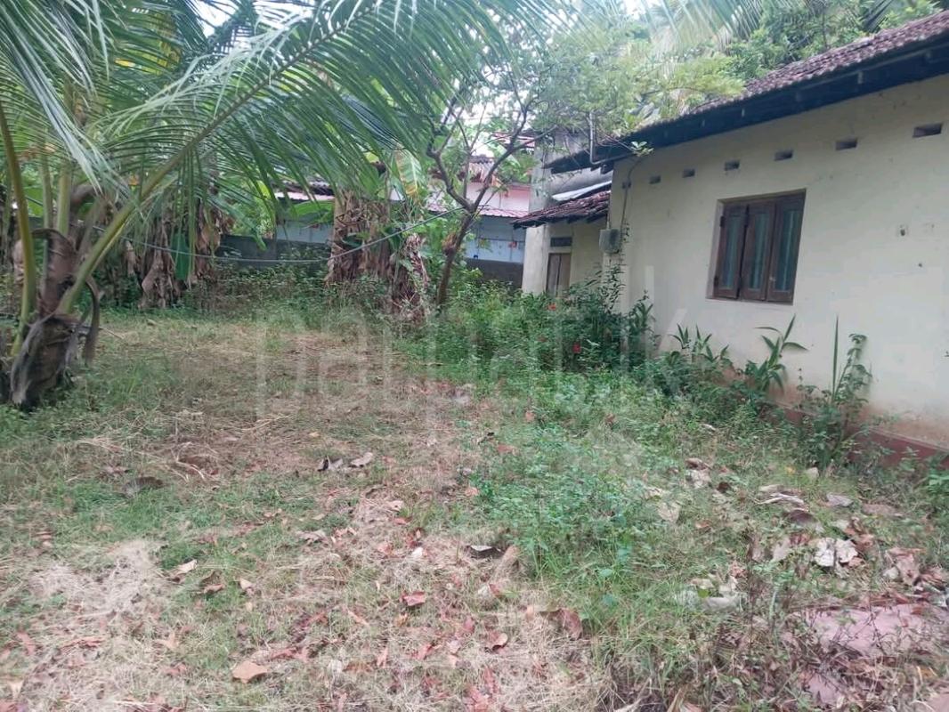 Residential Land for Sale in Maho ads-image-1