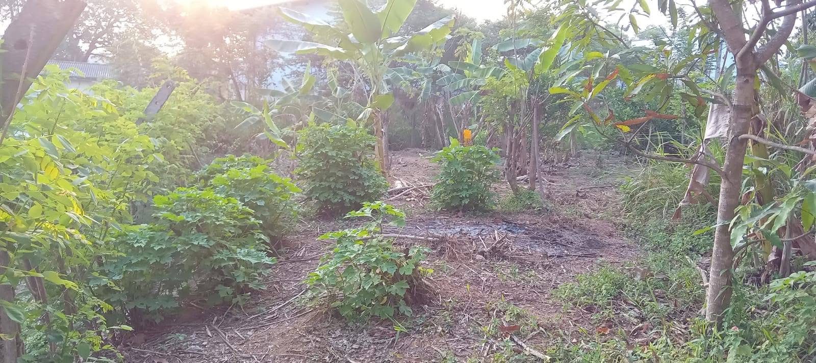 Residential Land for Sale in Athurugiriya