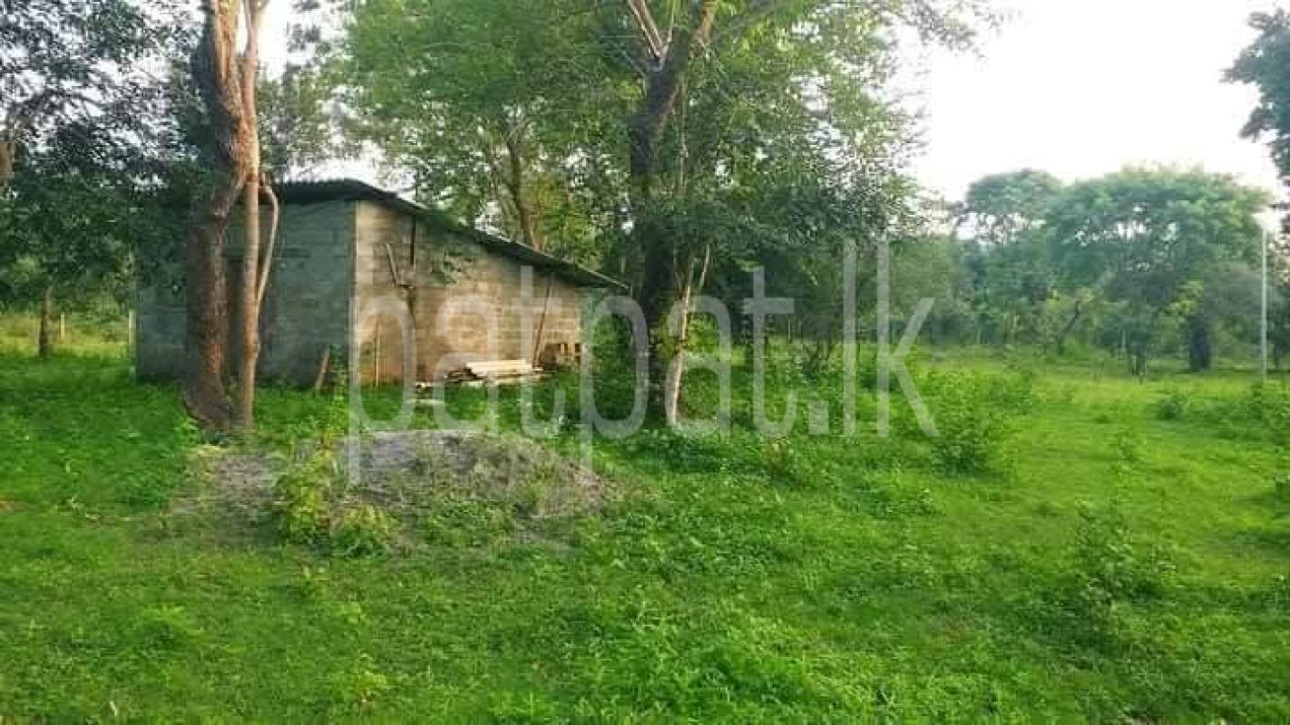 Advertisement image 5