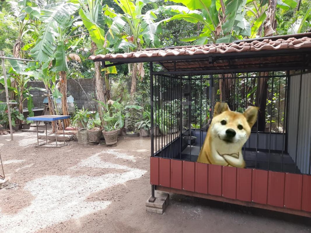 Advertisement image 6