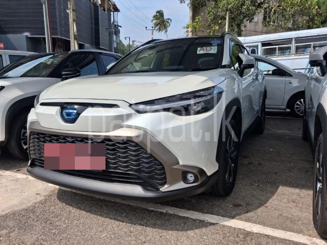 Advertisement image 2