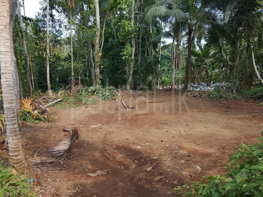 Residential Land for Sale in Kosgama