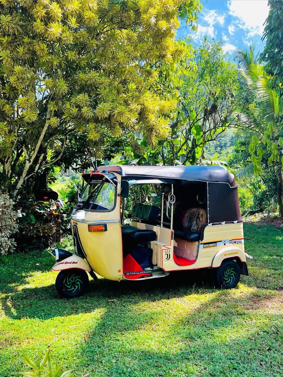 Advertisement image 2