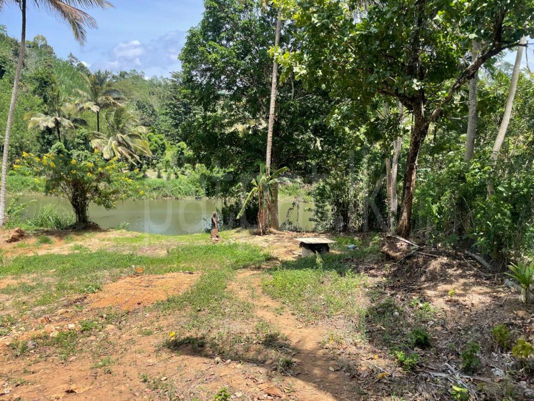 Residential Land for Sale in Balangoda