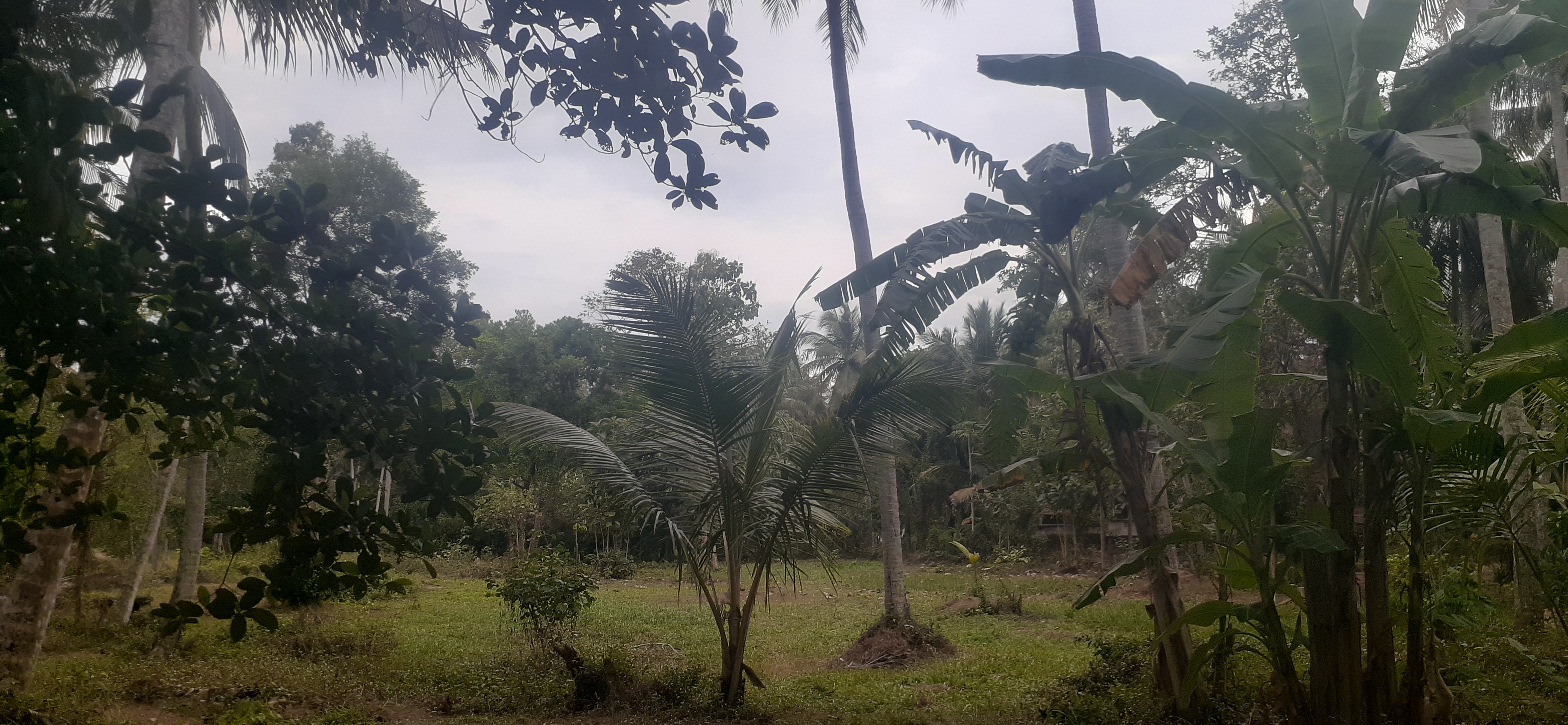 Commercial Land for Sale in Wariyapola