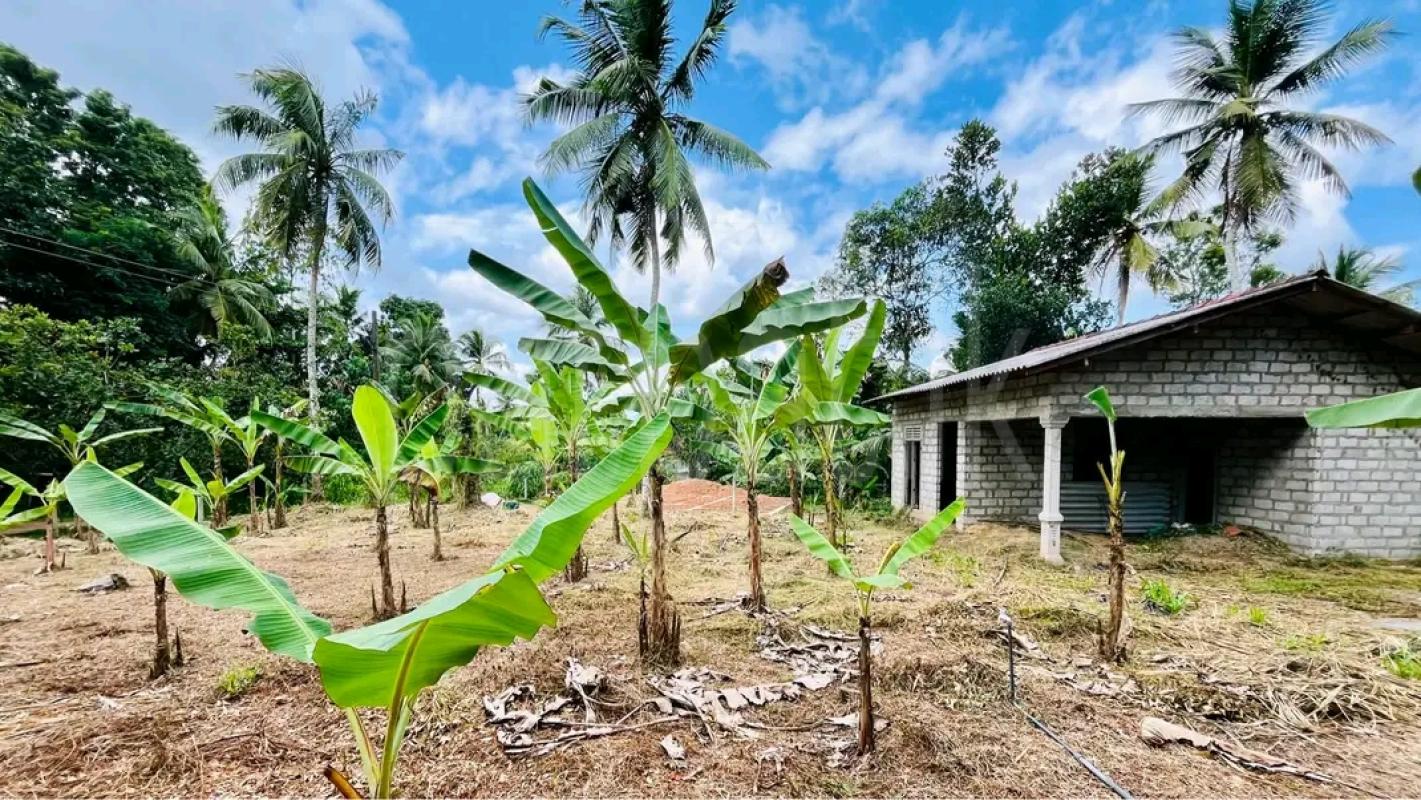 Agricultural Land for Sale in Chilaw