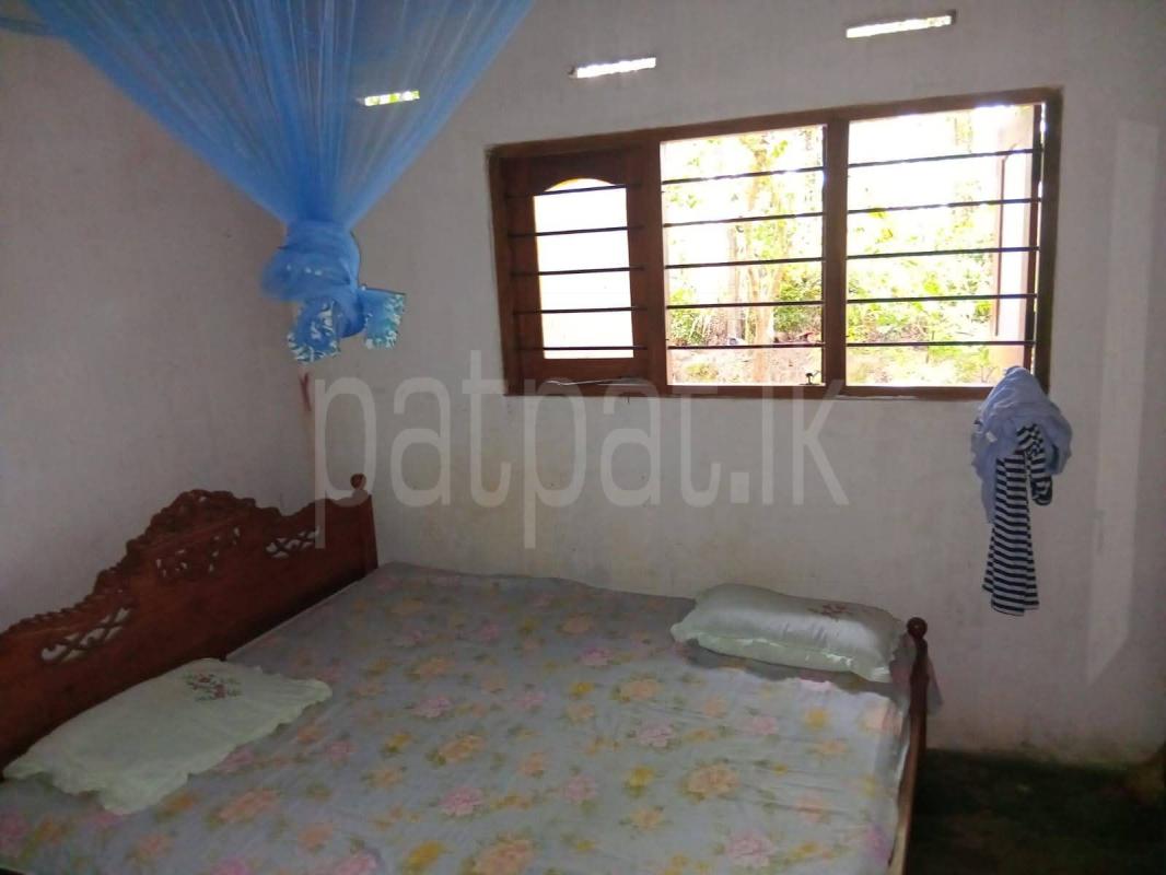 House for Sale in Divulapitiya ads-image-1