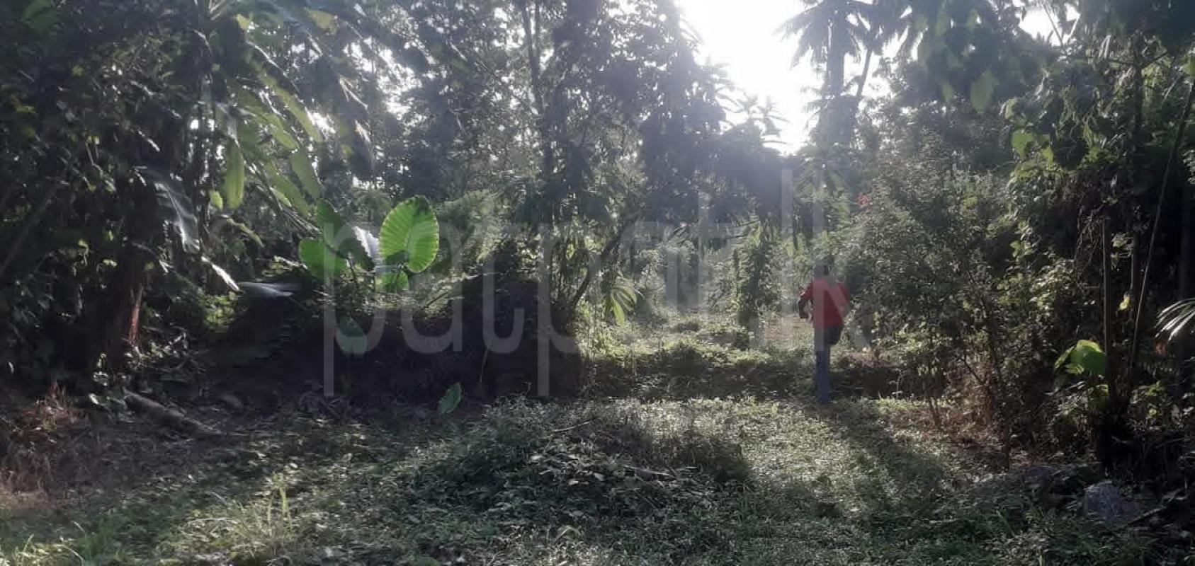 Commercial Land for Sale in Padukka