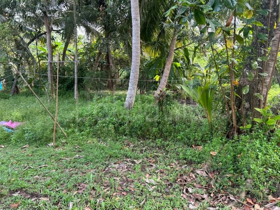 Commercial Land for Sale in Panadura ads-image-1