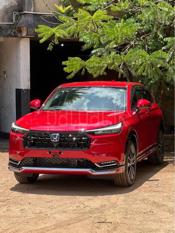 Advertisement image 5