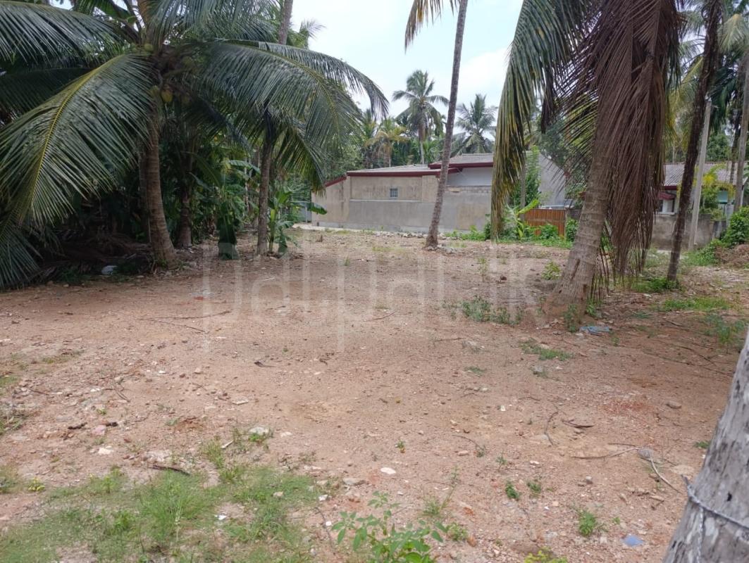 Residential Land for Sale in Ragama