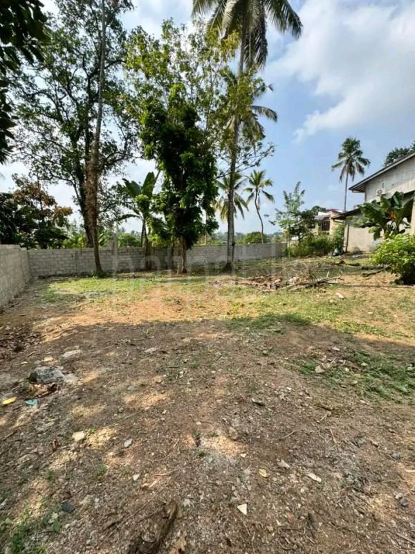 Agricultural Land for Sale in Ridigama