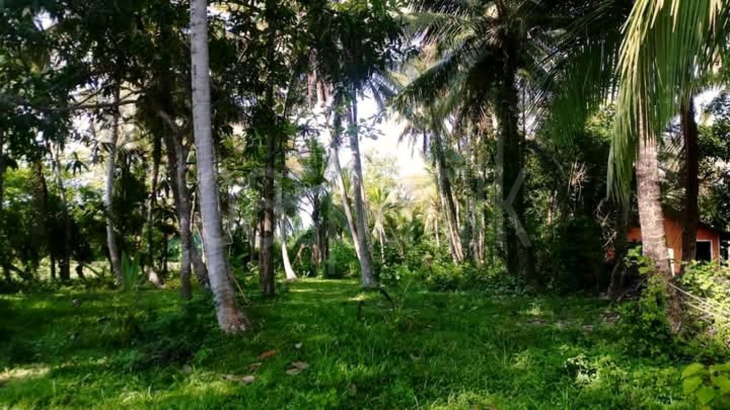 Commercial Land for Sale in Wariyapola
